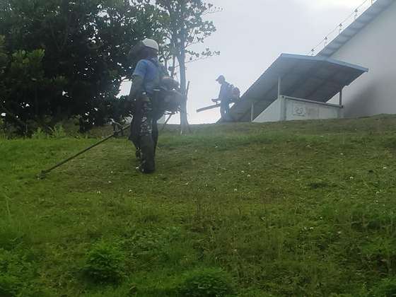 苗栗割草除草