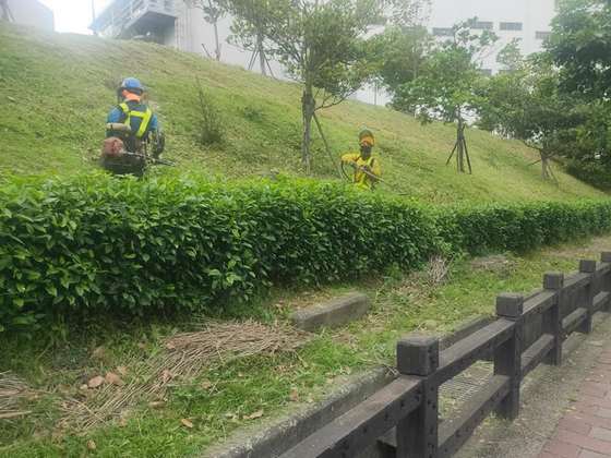 苗栗割草除草