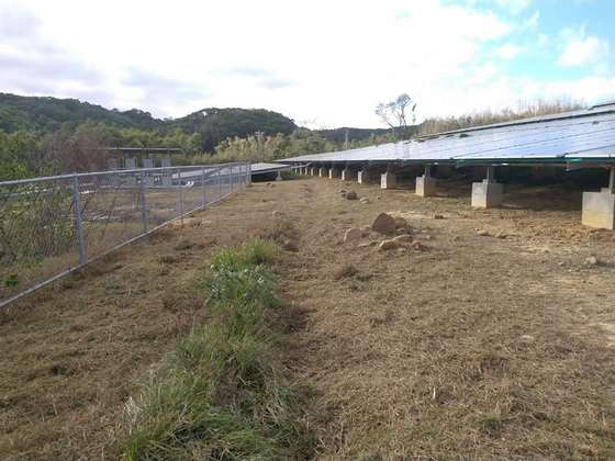 苗栗割草除草